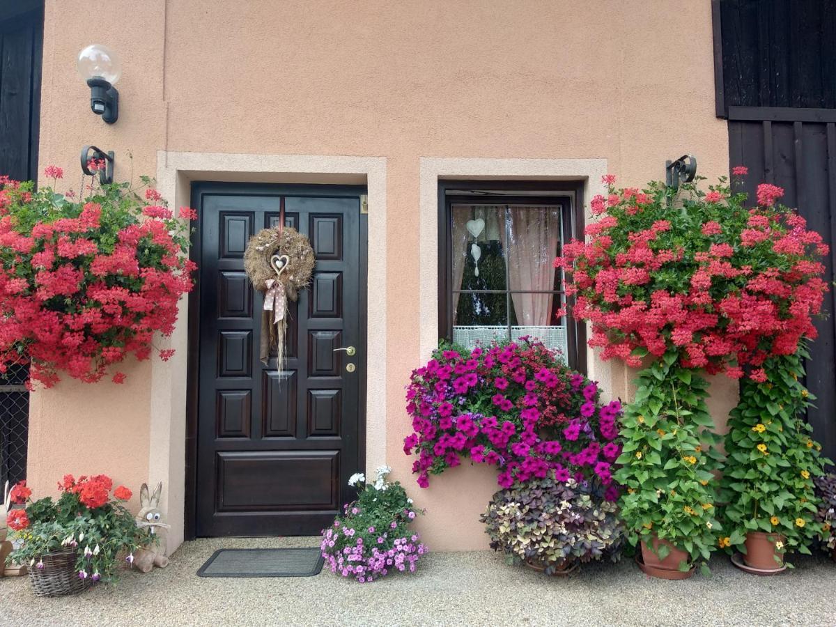 Apartmány Adršpach u Kozárů Teplice nad Metují Exteriér fotografie